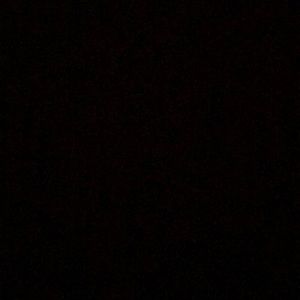 Meet your Posher, Isabel